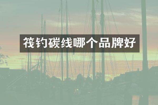 筏钓碳线哪个品牌好