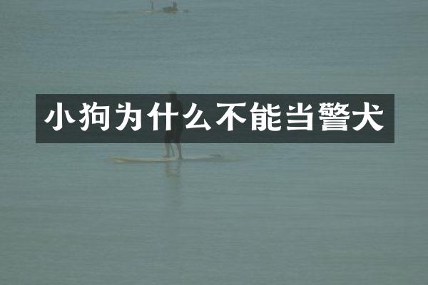 小狗为什么不能当警犬