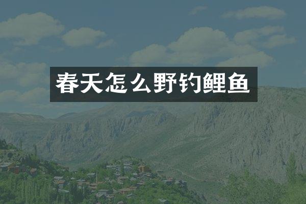 春天怎么野钓鲤鱼