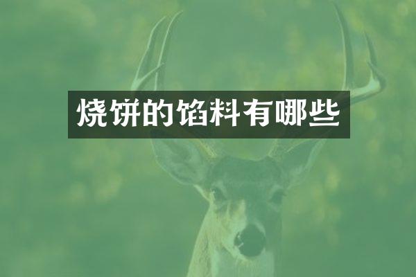 烧饼的馅料有哪些