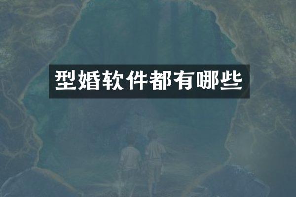 型婚软件都有哪些