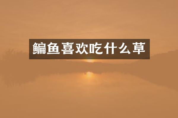 鳊鱼喜欢吃什么草