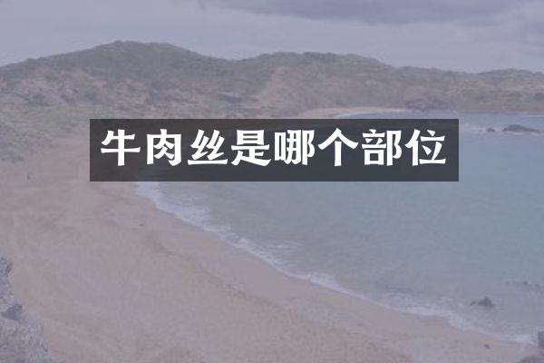 牛肉丝是哪个部位
