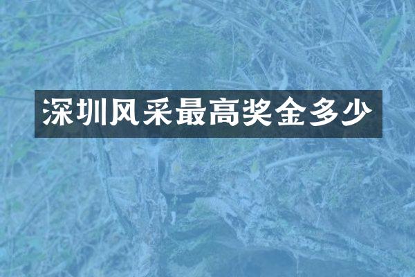深圳风采最高奖金多少