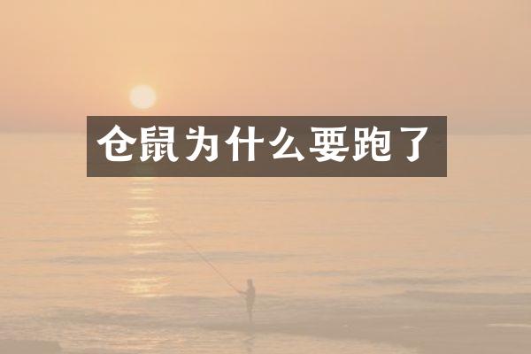 仓鼠为什么要跑了