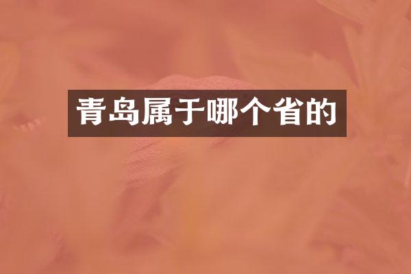 青岛属于哪个省的