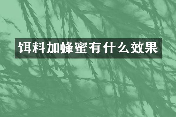 饵料加蜂蜜有什么效果