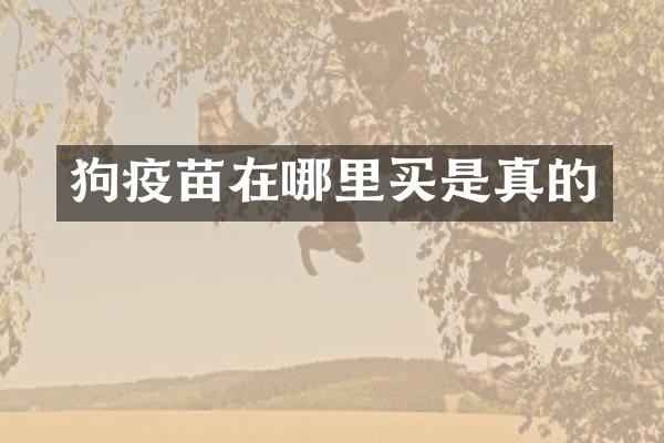 狗疫苗在哪里买是真的