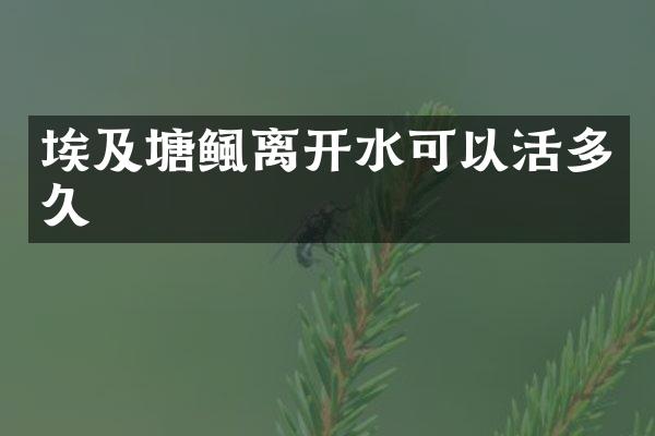 埃及塘鲺离开水可以活多久