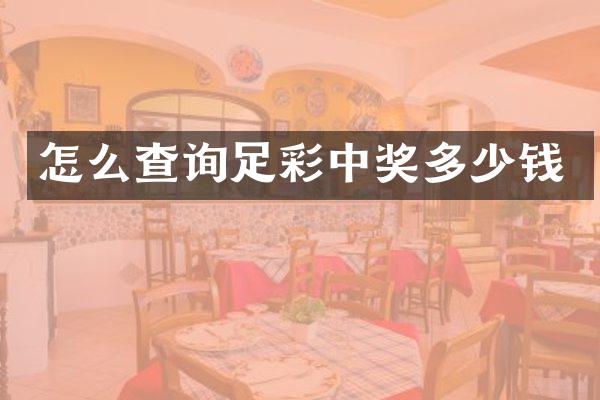 怎么查询中奖多少钱