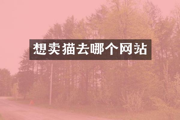 想卖猫去哪个网站