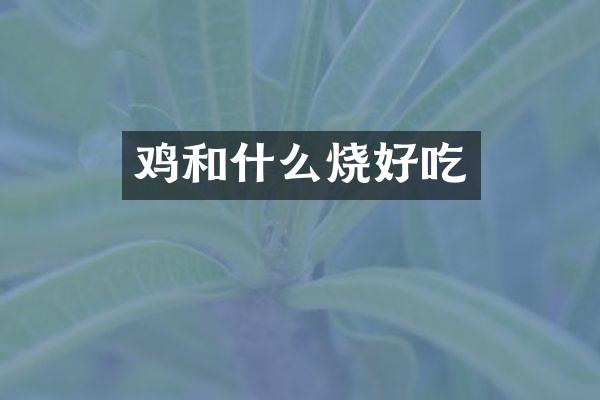 鸡和什么烧好吃