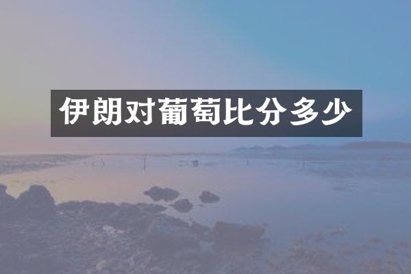 伊朗对葡萄比分多少