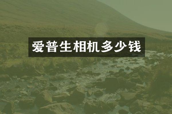 爱普生相机多少钱