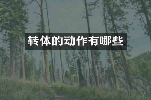 转体的动作有哪些