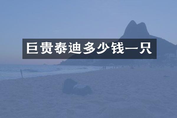 巨贵泰迪多少钱一只