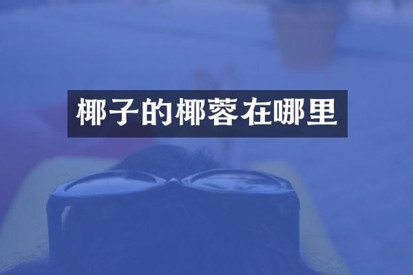 椰子的椰蓉在哪里