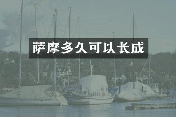 萨摩多久可以长成