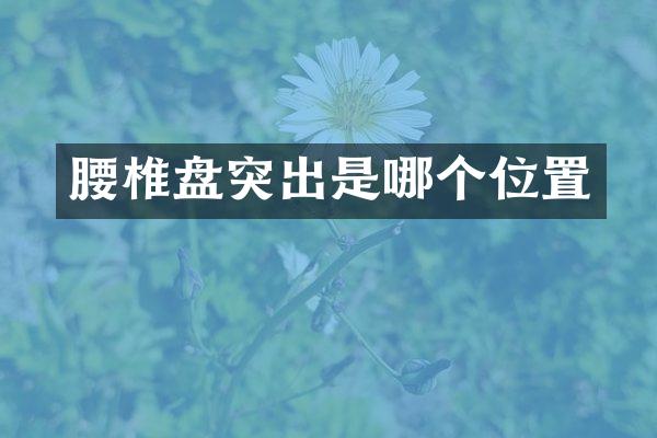 腰椎盘突出是哪个位置