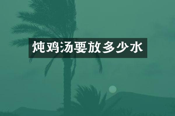 炖鸡汤要放多少水