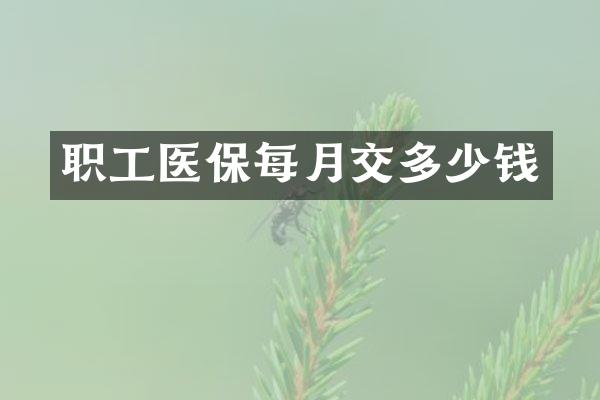 职工医保每月交多少钱