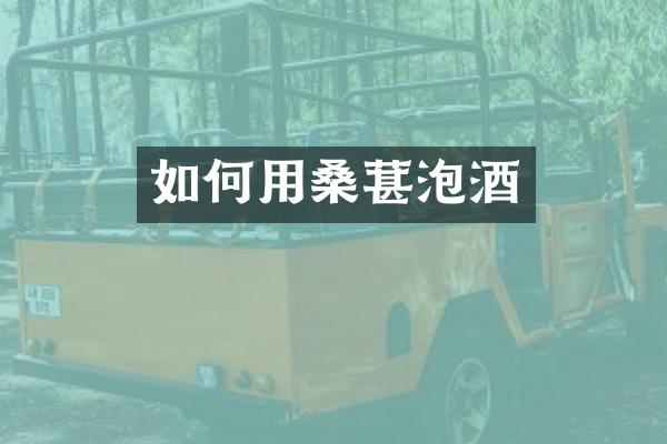 如何用桑葚泡酒