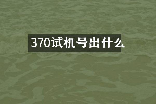 370试机号出什么