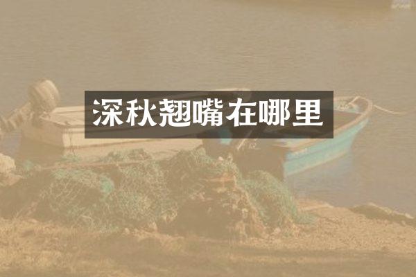 深秋翘嘴在哪里