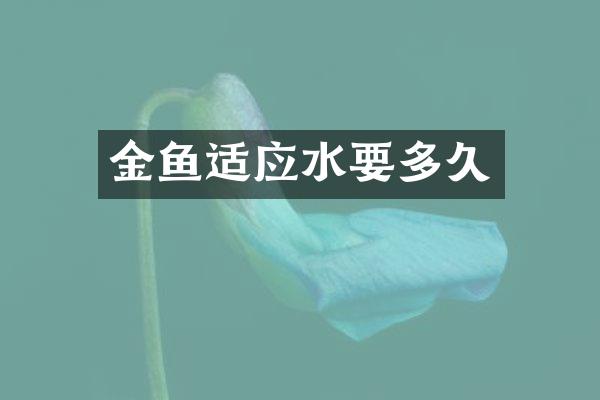 金鱼适应水要多久