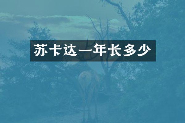 苏卡达一年长多少