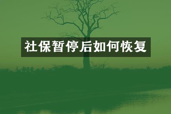 社保暂停后如何恢复