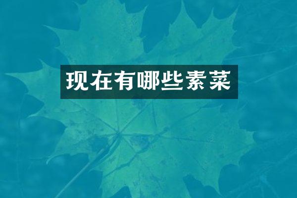 现在有哪些素菜