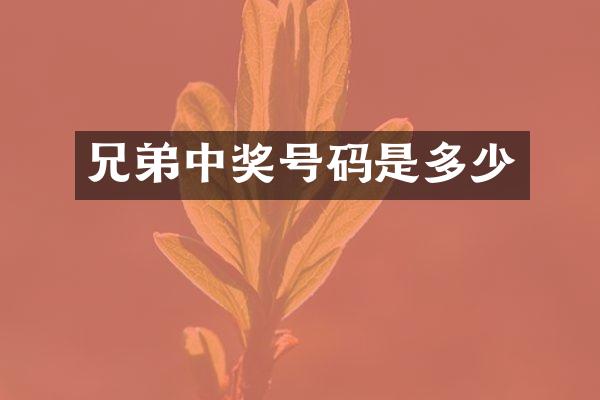 兄弟中奖号码是多少