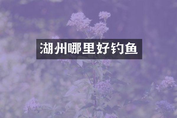 湖州哪里好钓鱼