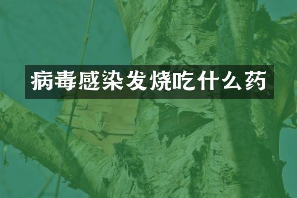 病毒感染发烧吃什么药