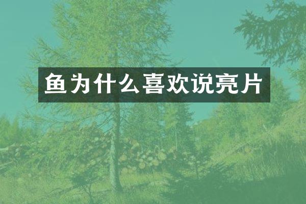 鱼为什么喜欢说亮片