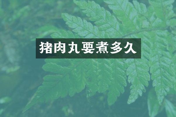 猪肉丸要煮多久