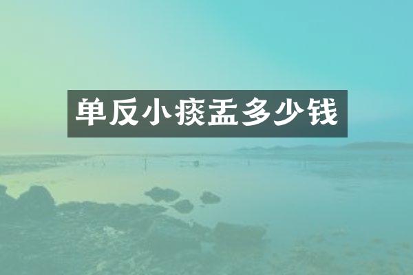 单反小痰盂多少钱