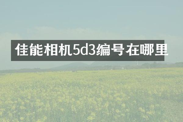 佳能相机5d3编号在哪里