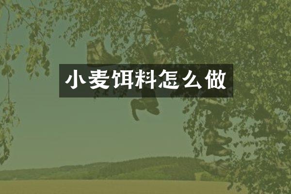 小麦饵料怎么做