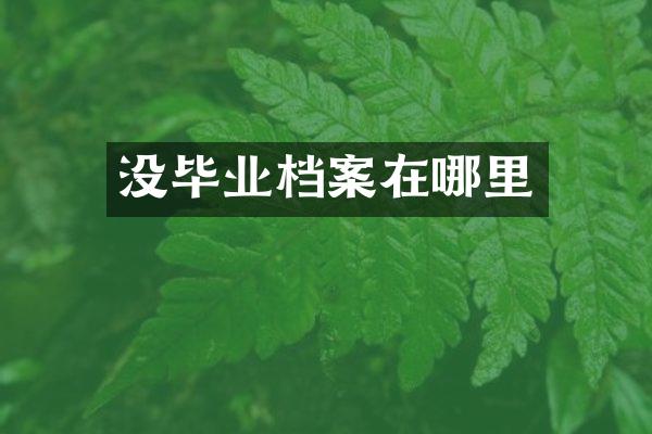 没毕业档案在哪里
