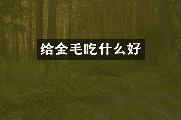 给金毛吃什么好