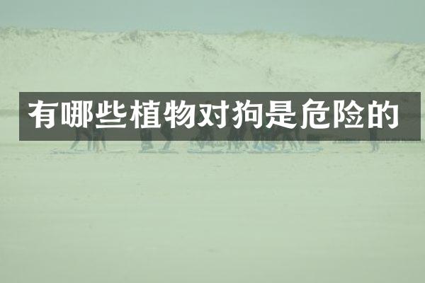有哪些植物对狗是危险的