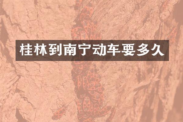 桂林到南宁动车要多久