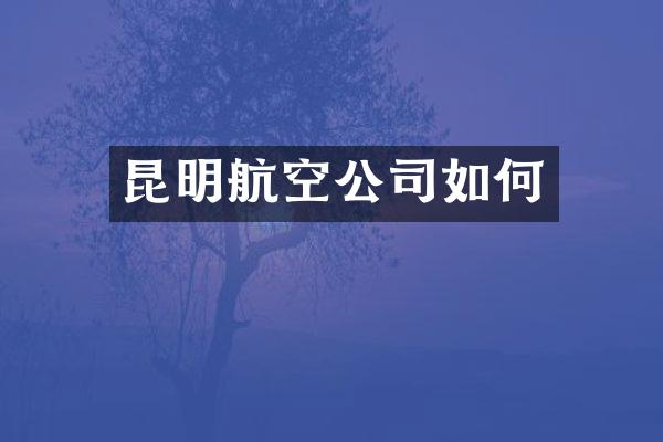 昆明航空公司如何