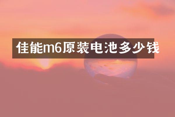 佳能m6原装电池多少钱