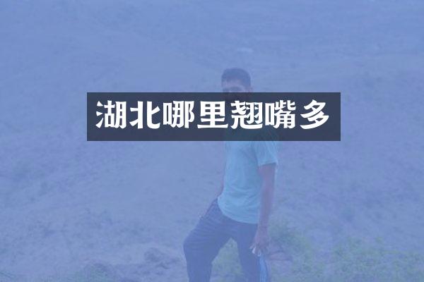 湖北哪里翘嘴多