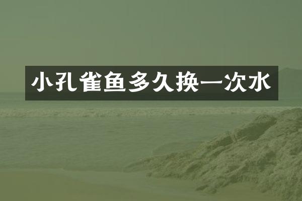 小孔雀鱼多久换一次水
