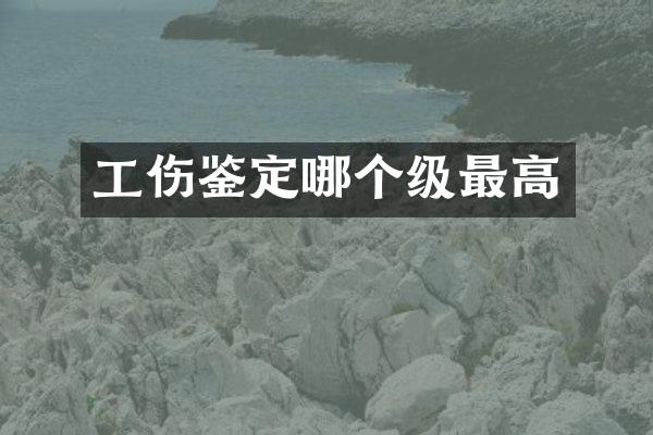 工伤鉴定哪个级最高