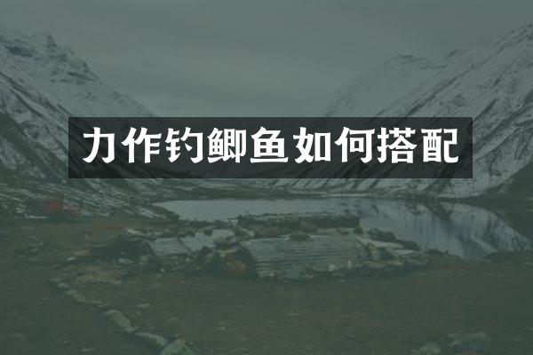 力作钓鲫鱼如何搭配